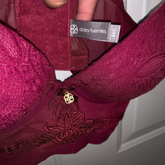 NWT Daisy Fuentes Burgundy Bra - Picture 4 of 4